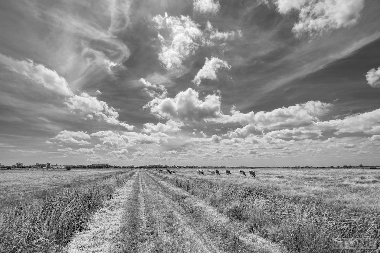 Lost in a Landscape: Heigham Holmes