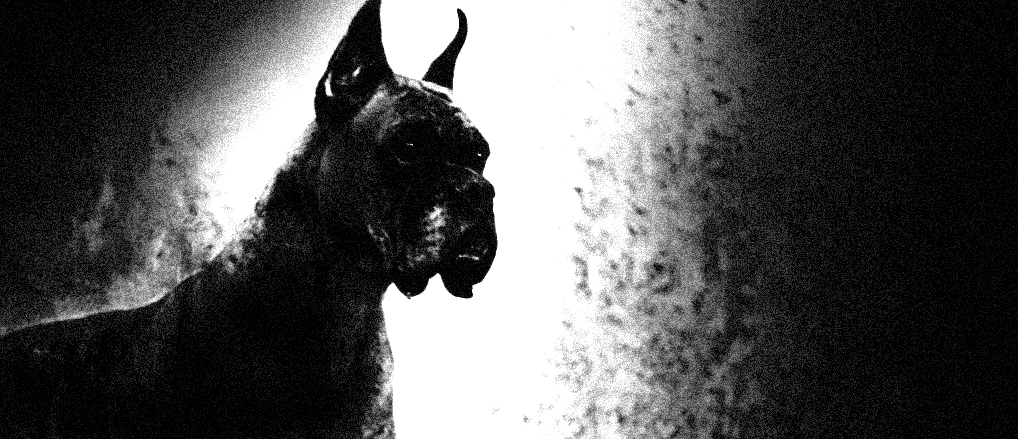 Black Dog tales: The Hound of St Austell