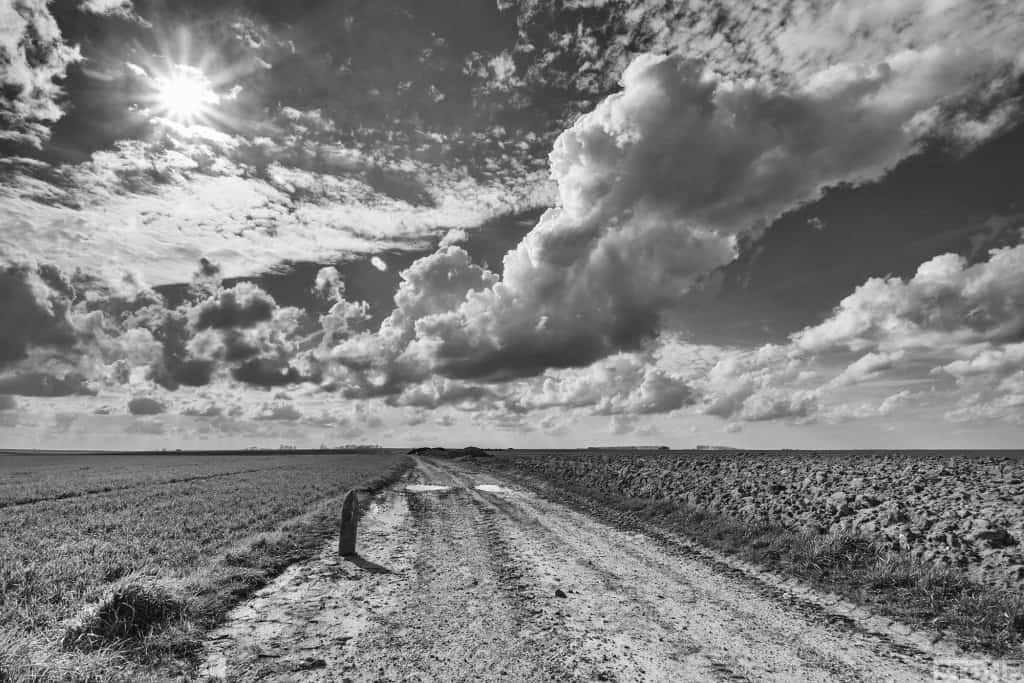 Deadly scrap Courcelette © Nick Stone Somme